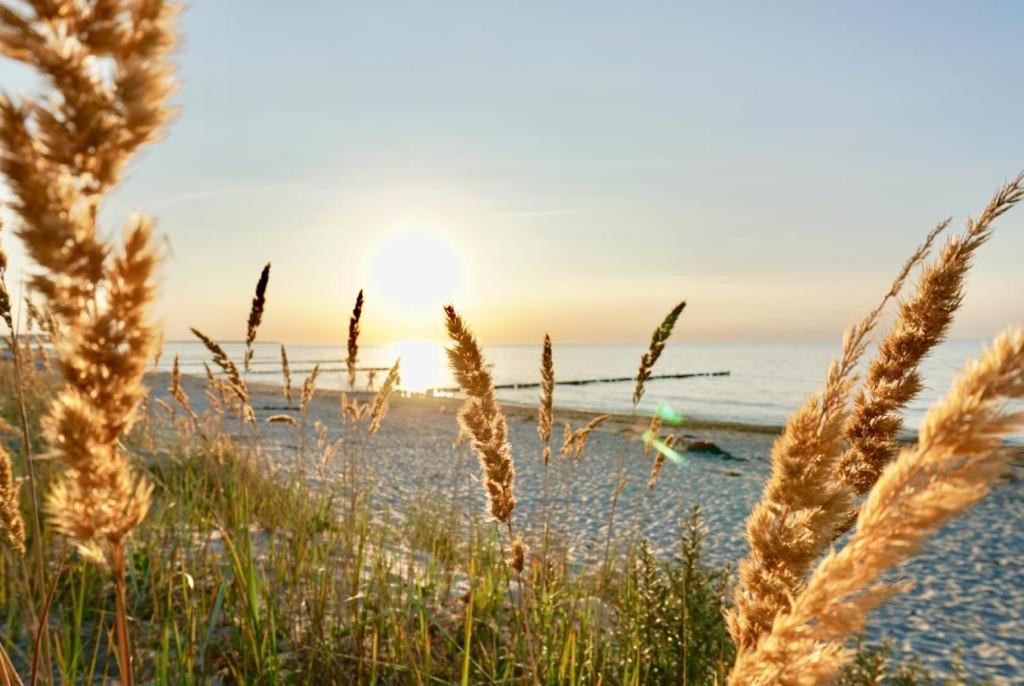 Ferienwohnung Strandurlaub Börgerende-Rethwisch Exterior foto